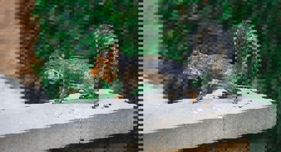 Lukas Skoe 6 Wsdwounha Unsplash